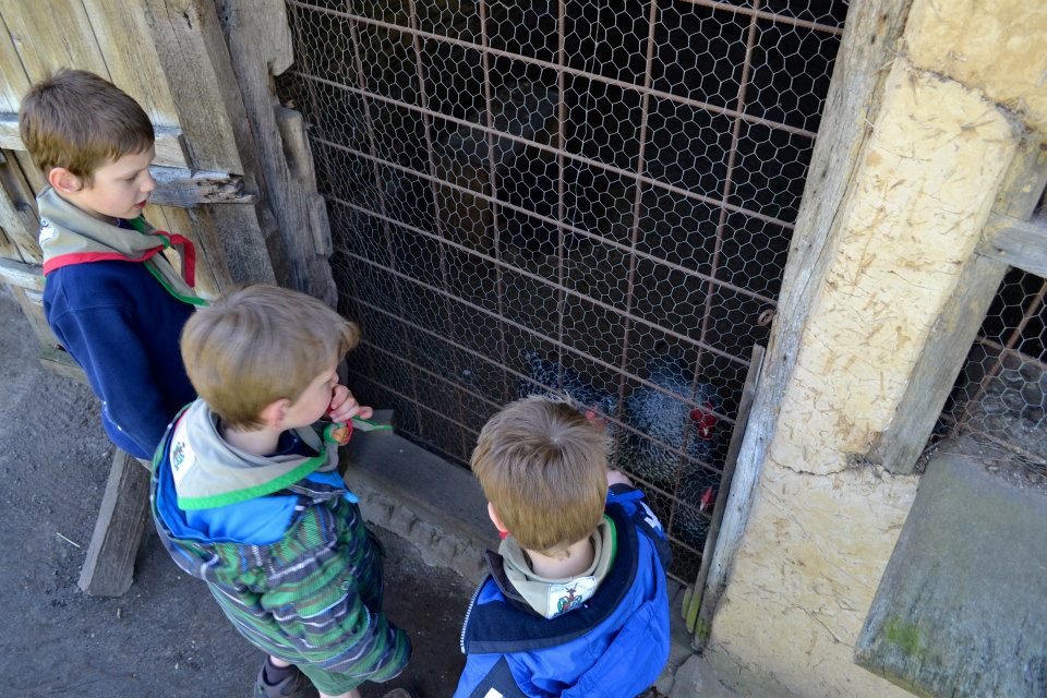 Sint-Martinus den XIIde - Bokkenrijders Kapoenen Kiewit